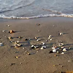 Cozy Flat Near Beach-beahost Bibione
