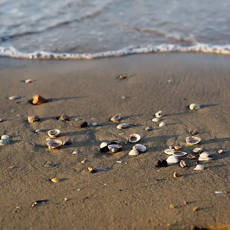 Cozy Flat Near Beach-beahost Bibione